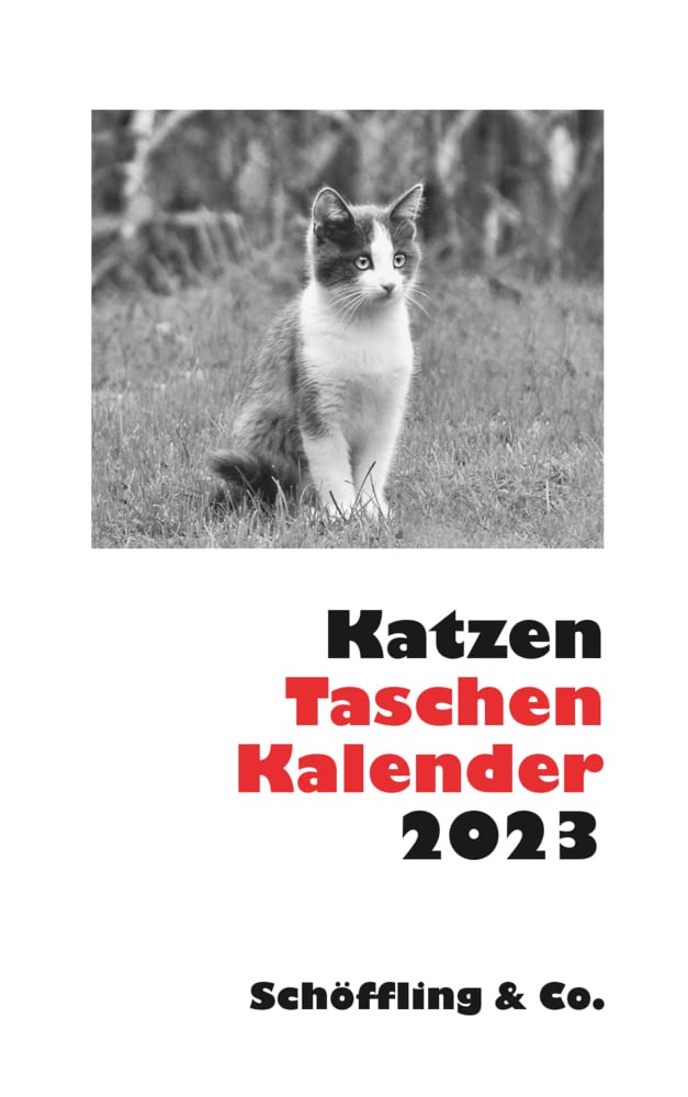 Katzen Taschenkalender 2023 Lifestyle
