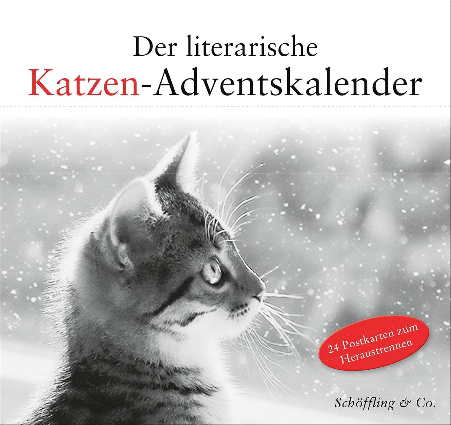 Der literarische Katzen-Adventskalender Lifestyle