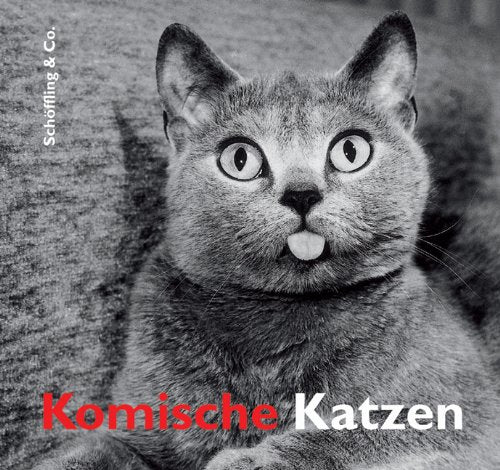 Komische Katzen Contemporary literature Books