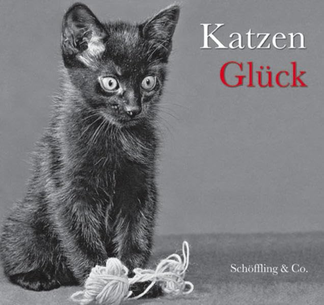 Katzenglück (Gebundene Ausgabe) Photography
