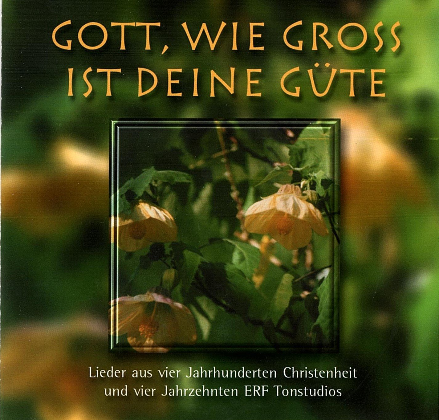 Gott, wie gross ist deine Güte - Lieder aus vier Jahrhunderten Christenheit und vier Jahrzehnten ERF Tonstudios Music