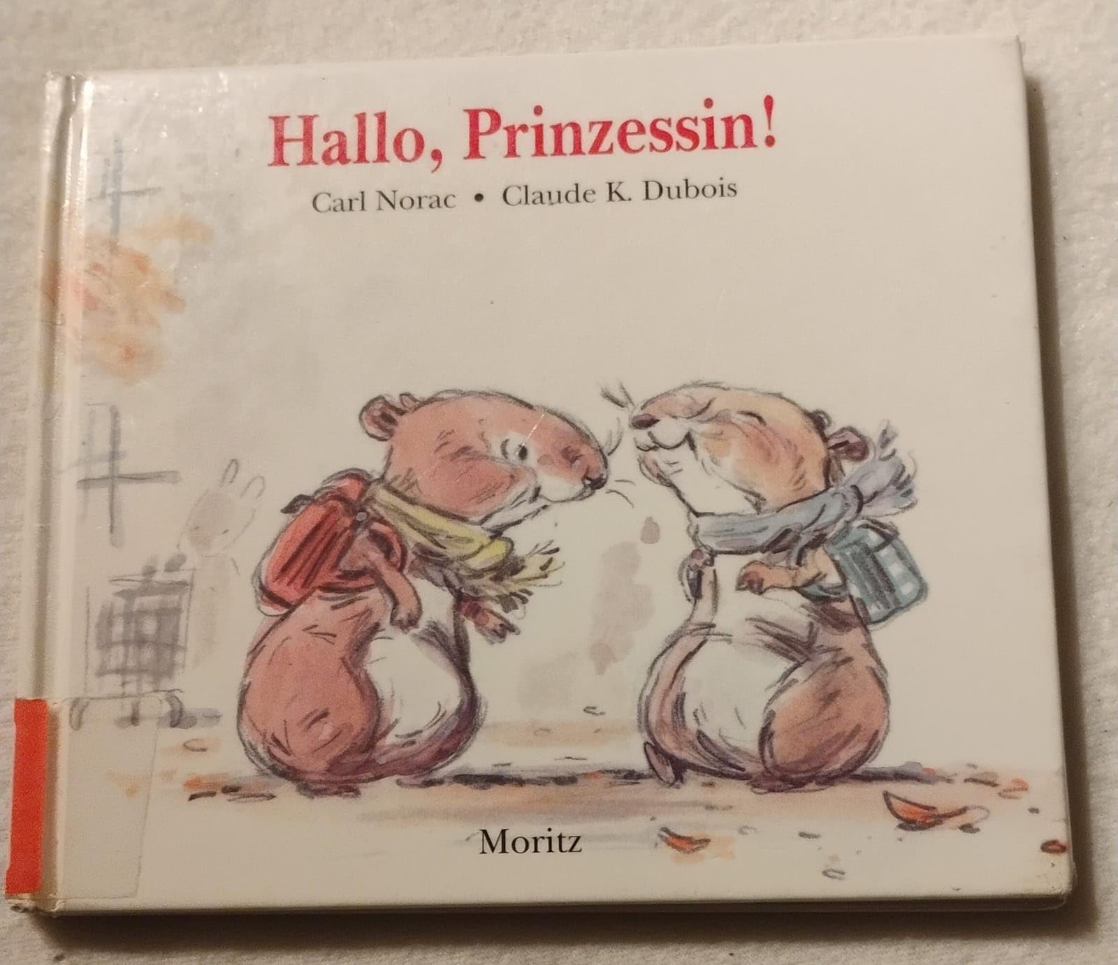 Hallo, Prinzessin!. Farbiges Bilderbuch Books