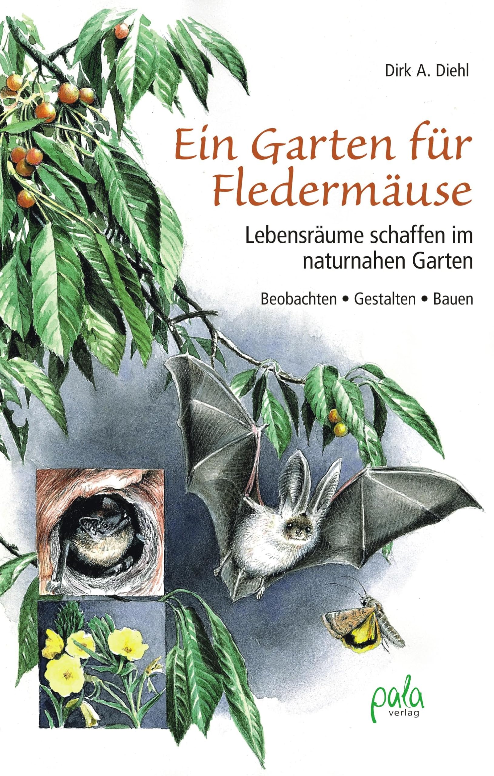 Ein Garten für Fledermäuse Film, Art & Culture