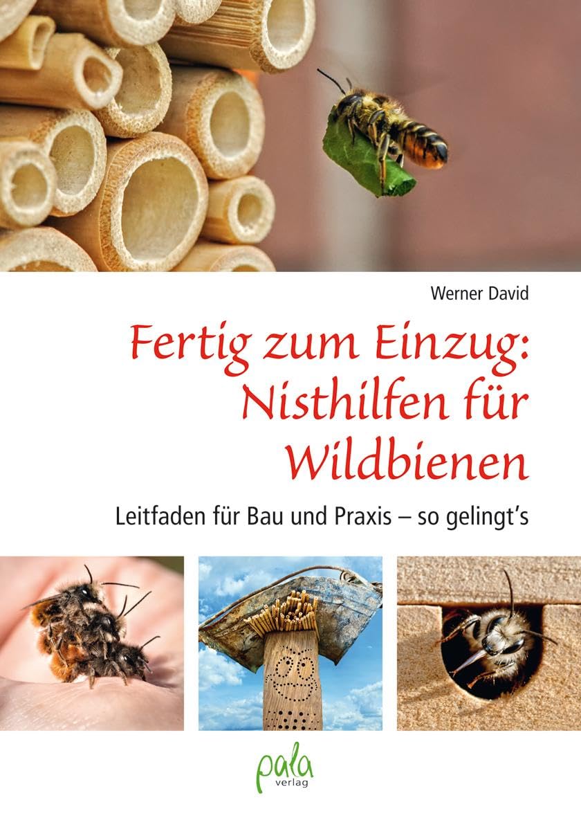 Fertig zum Einzug: Nisthilfen für Wildbienen Garden & Plants