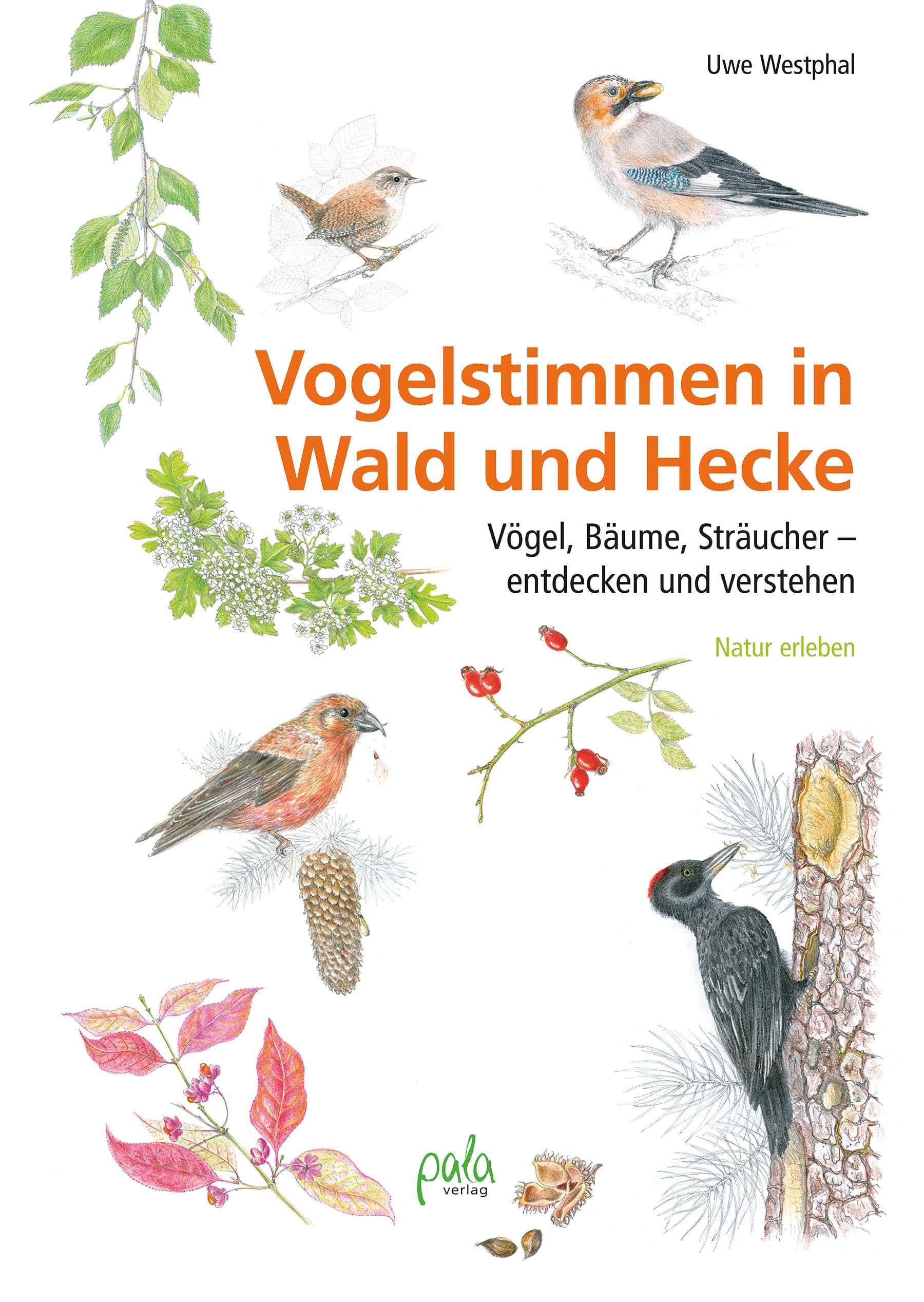 Vogelstimmen in Wald und Hecke Leisure, Home & Garden