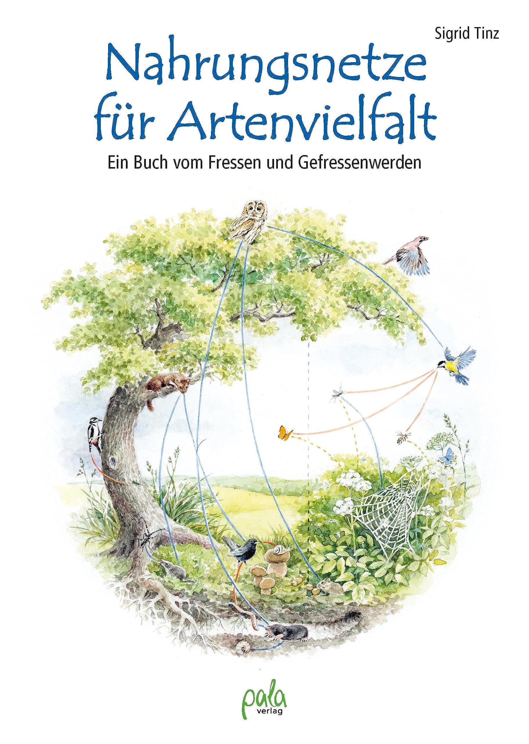 Nahrungsnetze für Artenvielfalt Mathematics