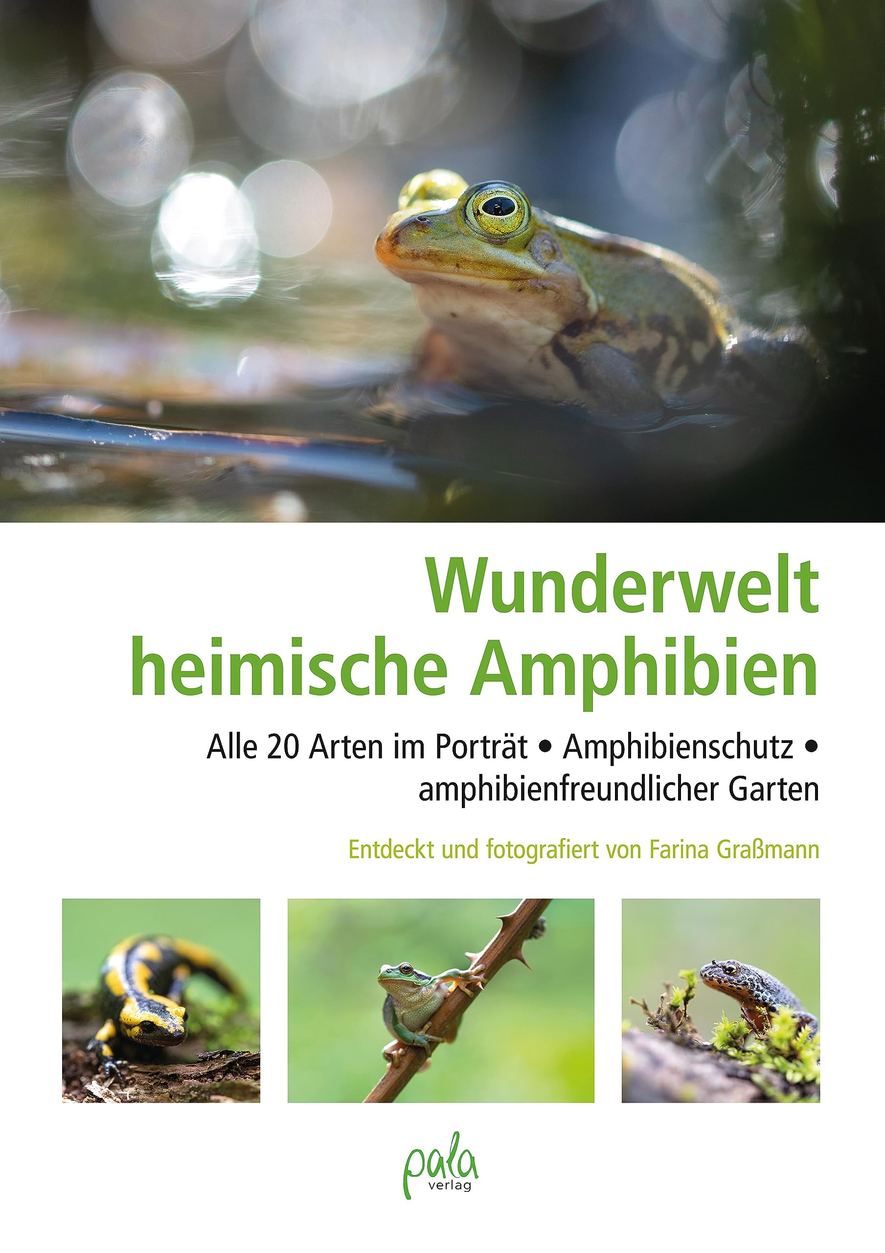 Wunderwelt heimische Amphibien: Alle 20 Arten im Porträt, Amphibienschutz, amphibienfreundlicher Garten Architecture