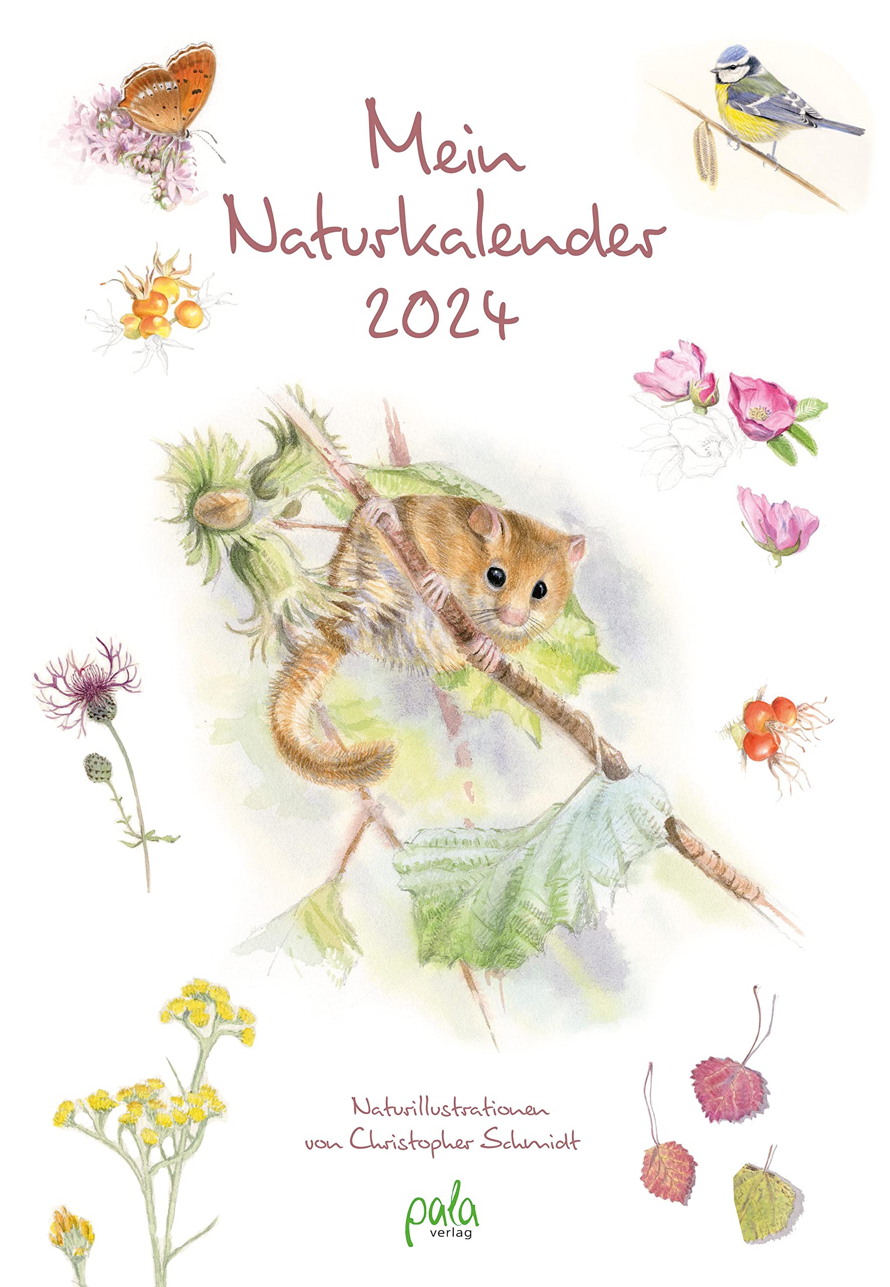 Mein Naturkalender 2024: Naturillustrationen von Christopher Schmidt Calendars