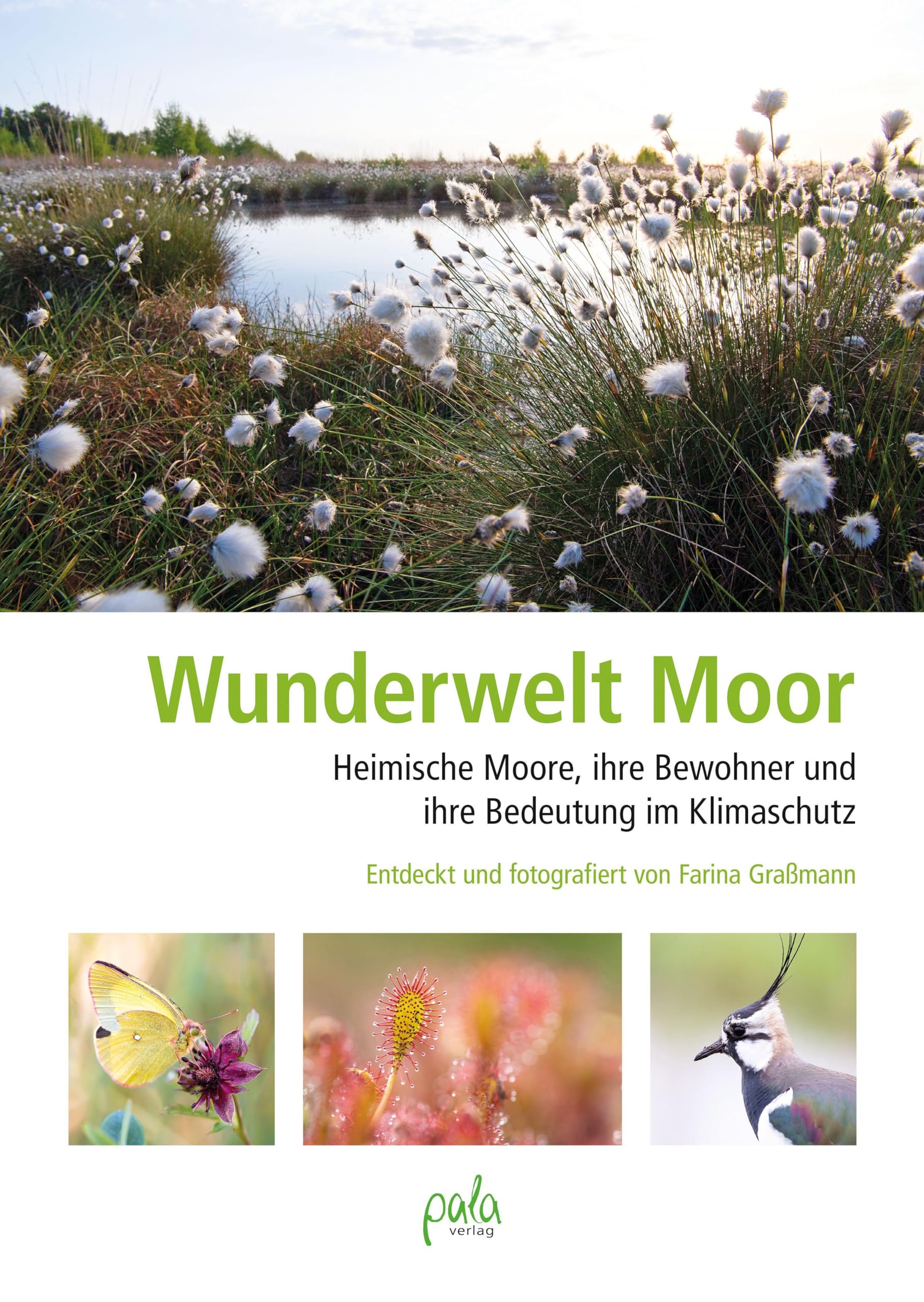 Product Image: Wunderwelt Moor