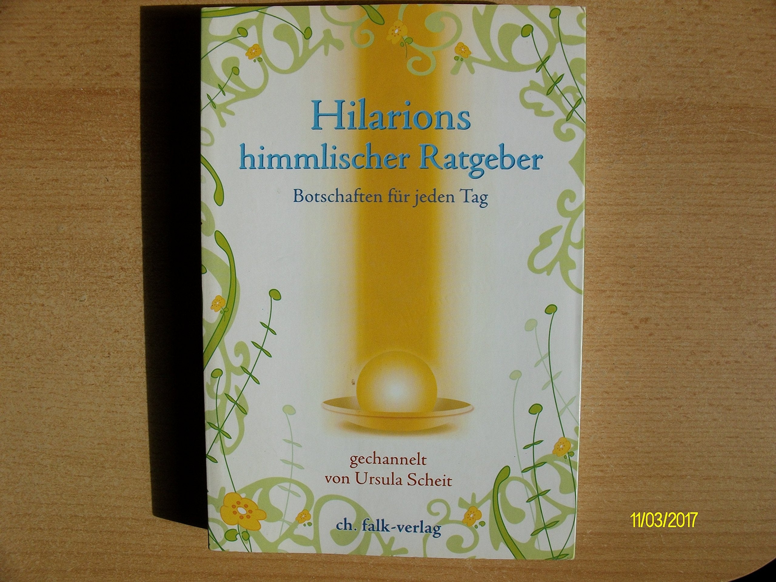 Hilarions himmlischer Ratgeber Business, Finance & Career Books