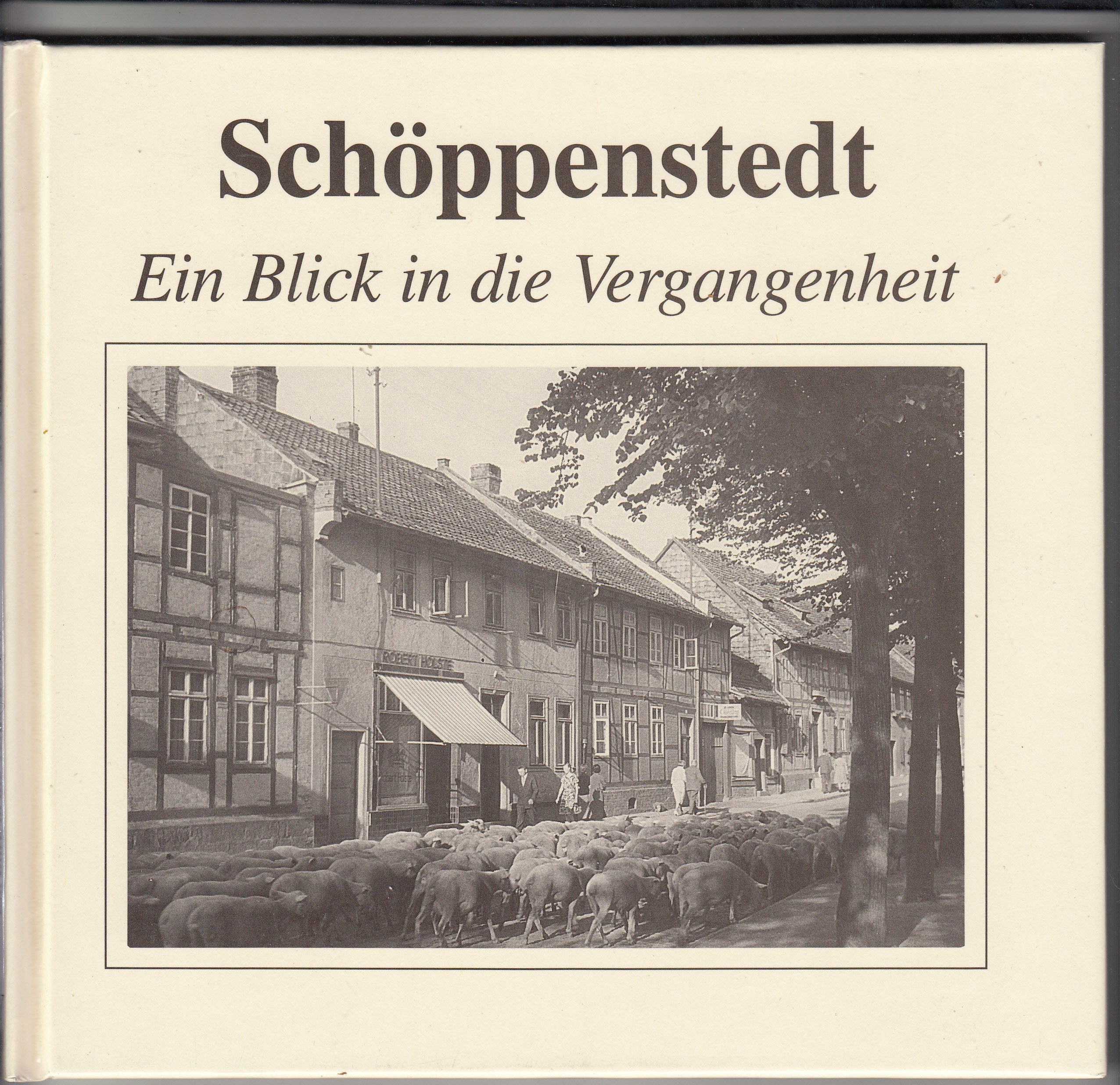 Schöppenstedt: Ein Blick in die Vergangenheit Books