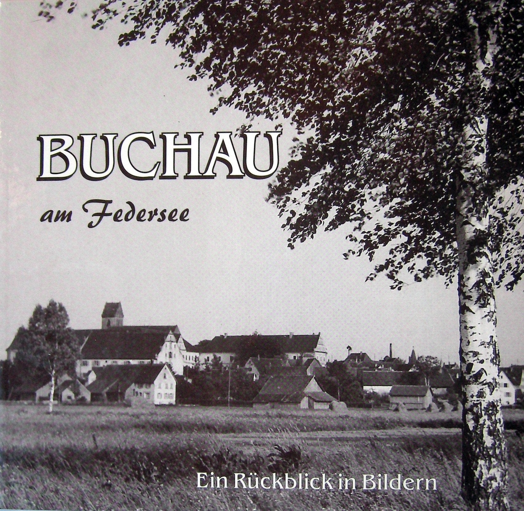 Buchau am Federsee: Ein Rückblick in Bildern Books