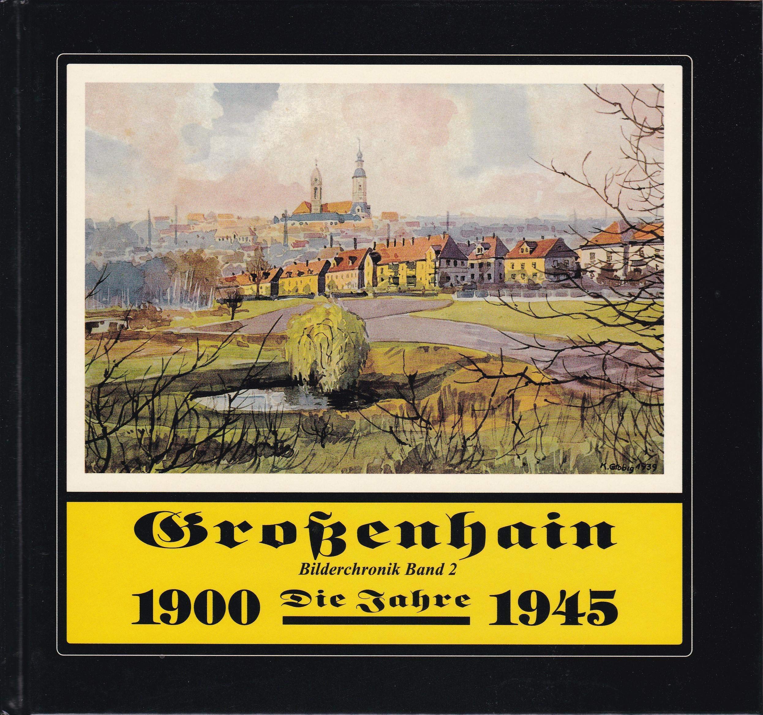 Grossenhain Bilderchronik: Die Jahre 1900-1945. Band 2 Books