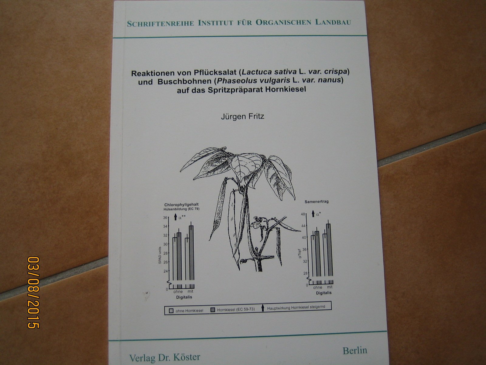 Reaktionen von Pflücksalat (Lactuca sativa var. crispa) und Buschbohnen (Phaseolus vulgaris var. narus) auf das Spritzpräparat Hornkiesel Natural Sciences