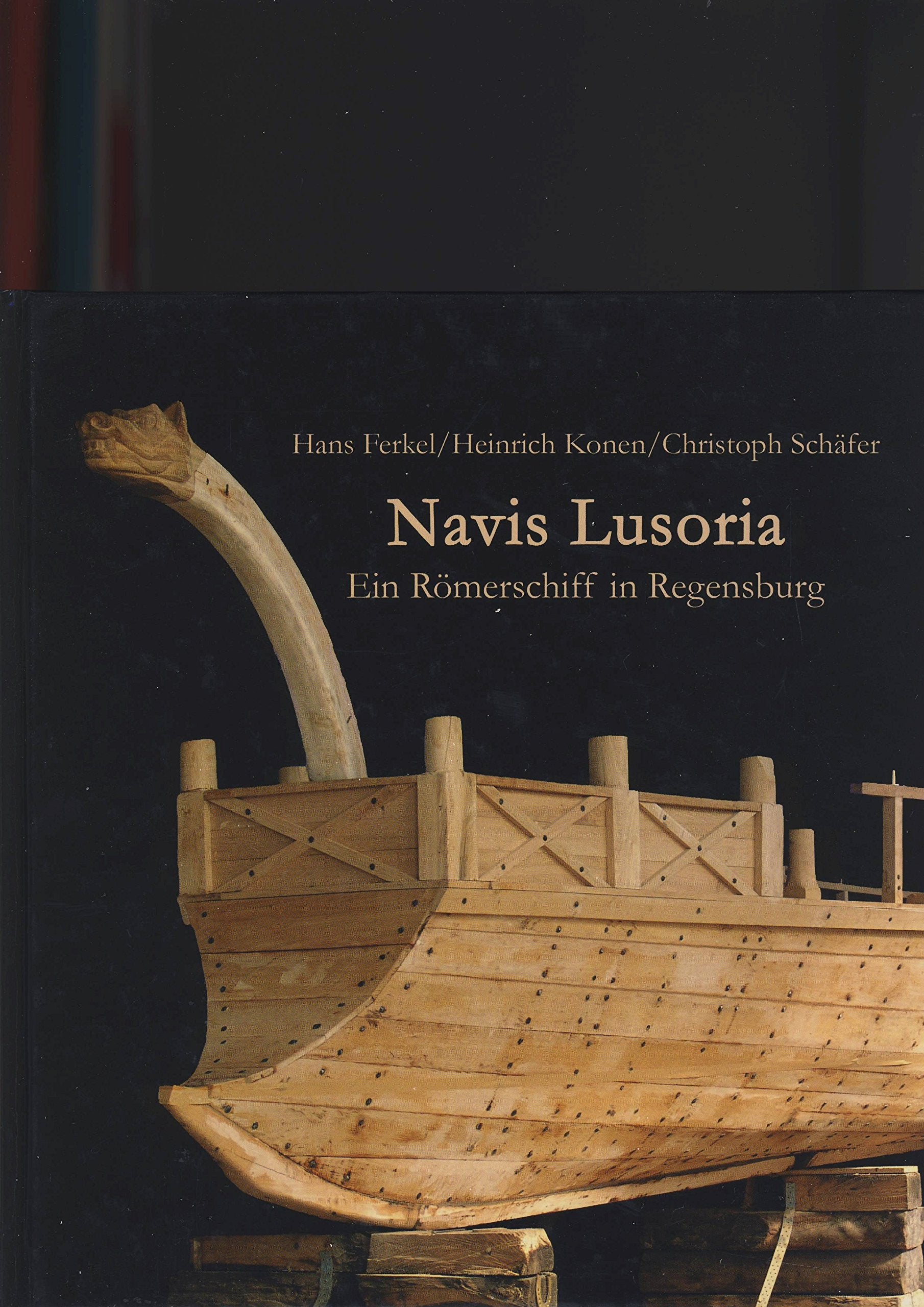 Navis Lusoria: Ein Römerschiff in Regensburg Natural Sciences