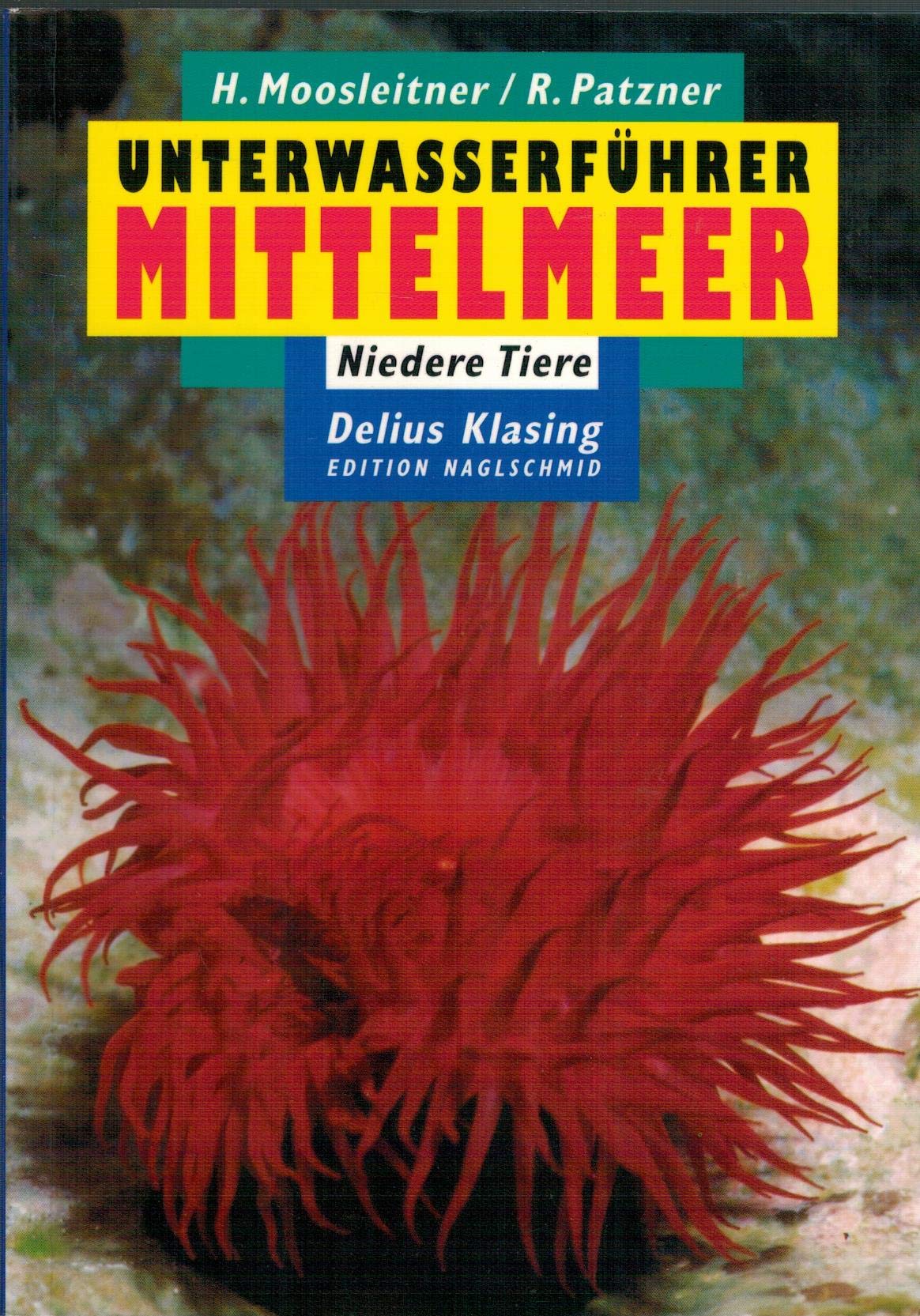 Unterwasserführer, Bd.4, Mittelmeer, Niedere Tiere (Edition Freizeit und Wissen / Unterwasserführer) Travel