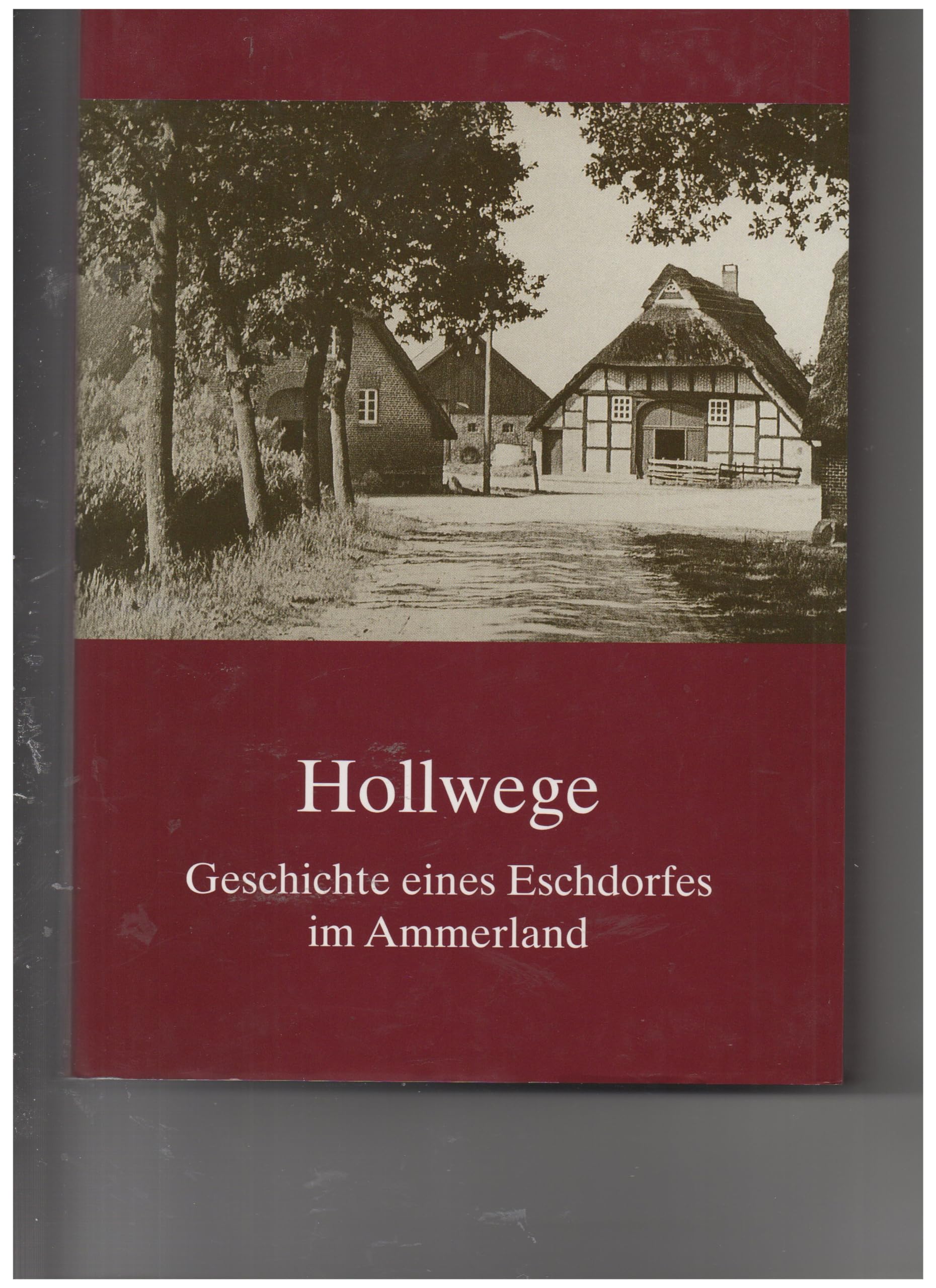 Hollwege - Geschichte eines Eschdorfes im Ammerland Politics & History