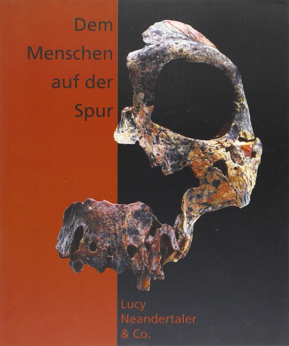 Dem Menschen auf der Spur. Lucy, Neandertaler & Co. Begleitheft zur Sonderausstellung Politics & History