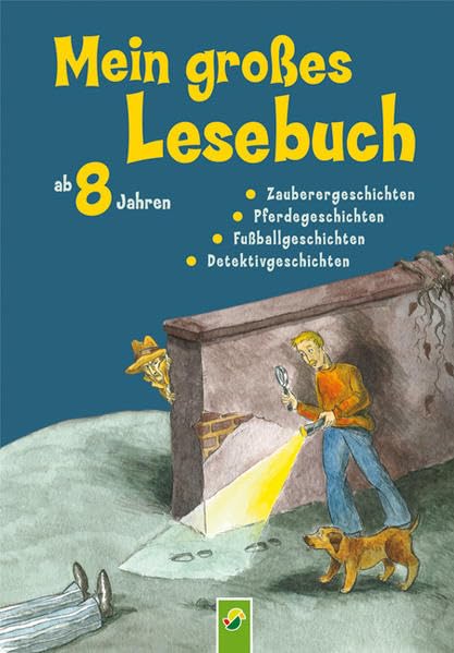 Mein großes Lesebuch ab 8 Jahren: Zaubergeschichten, Pferdegeschichten, Fußballgeschichten, Detektivgeschichten: Zauberergeschichten, Pferdegeschichten, Fußballgeschichten, Detektivgeschichten Novels & Short Stories