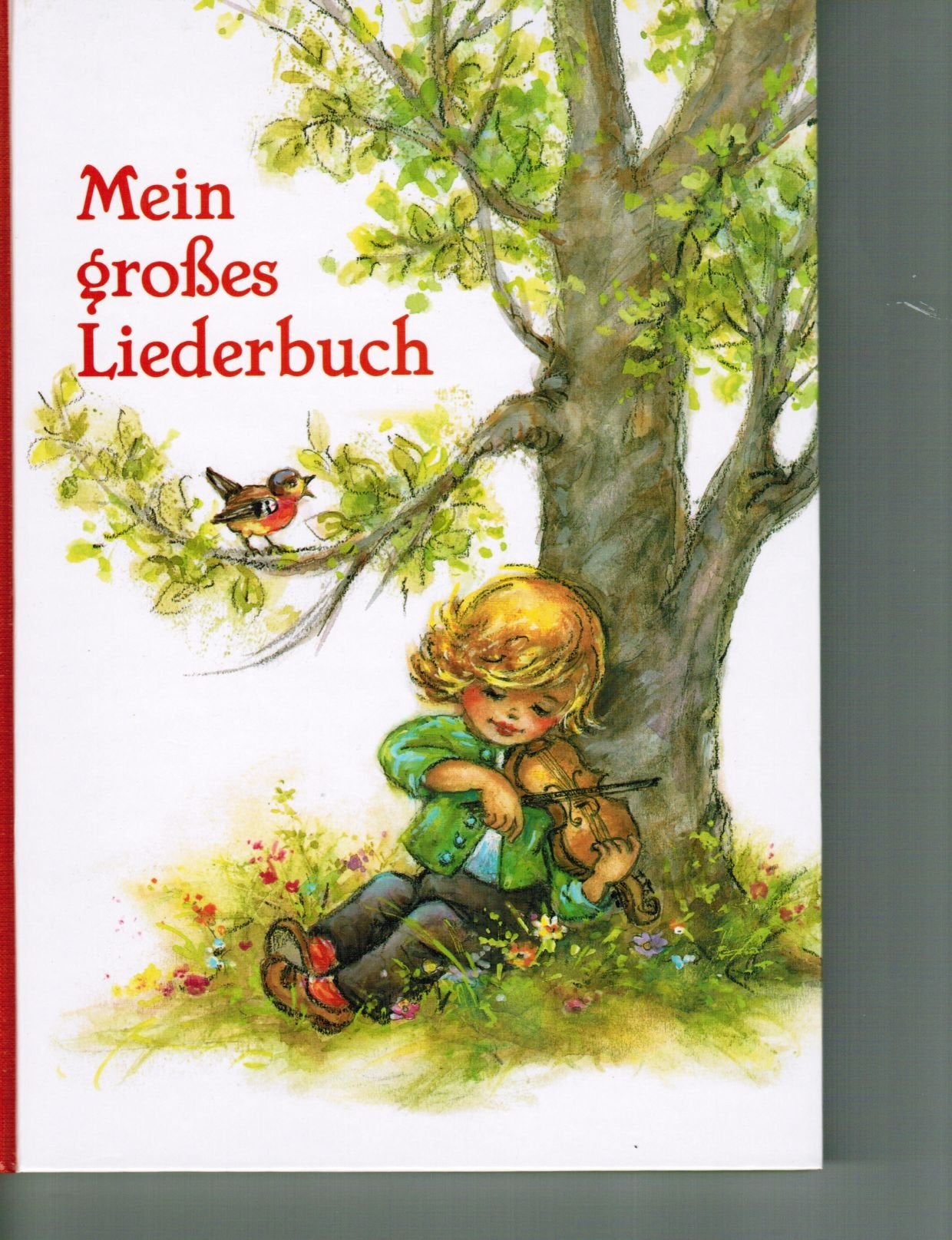 Product Image: Mein großes Liederbuch