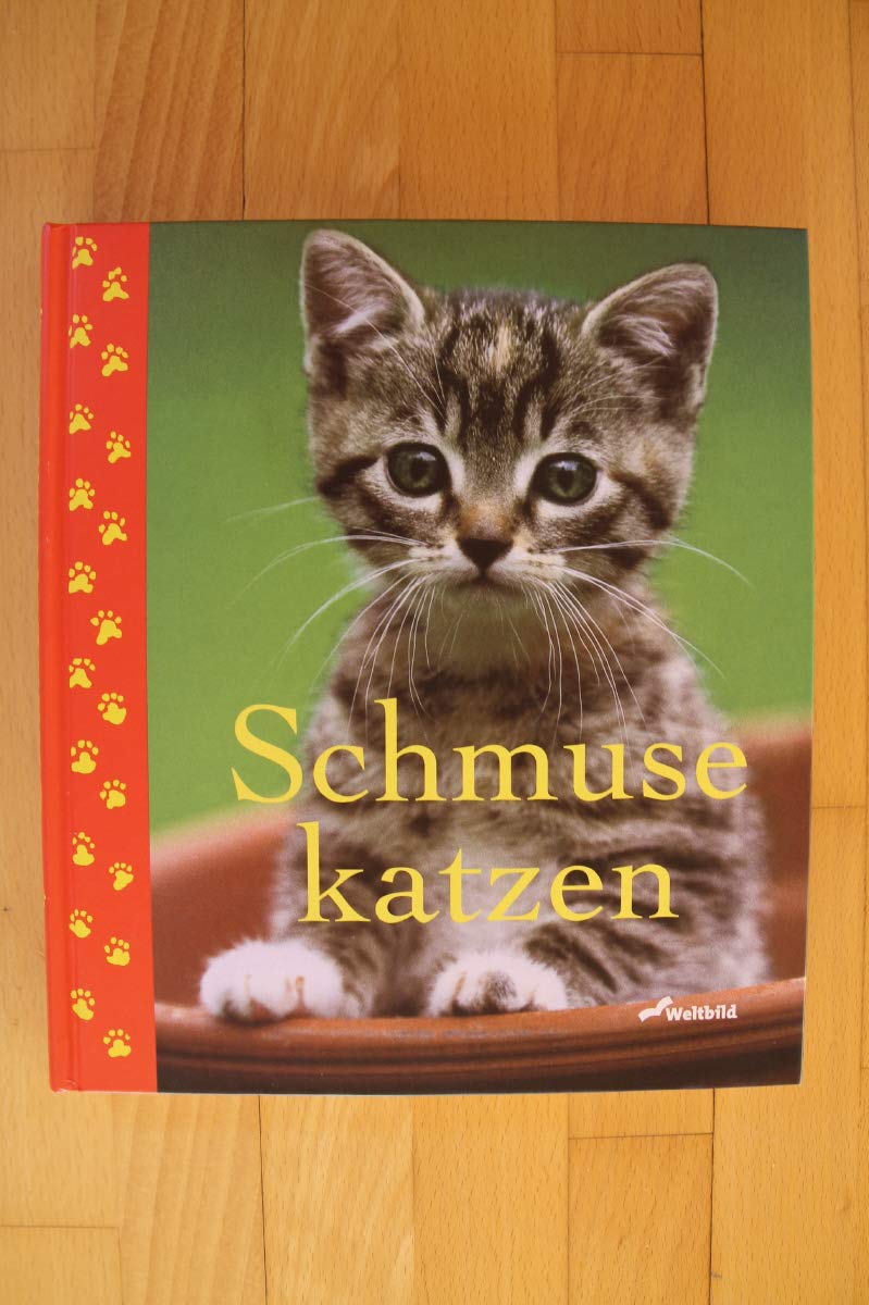 Schmusekatzen. (Mit fünf farbigen Postkarten) Pets