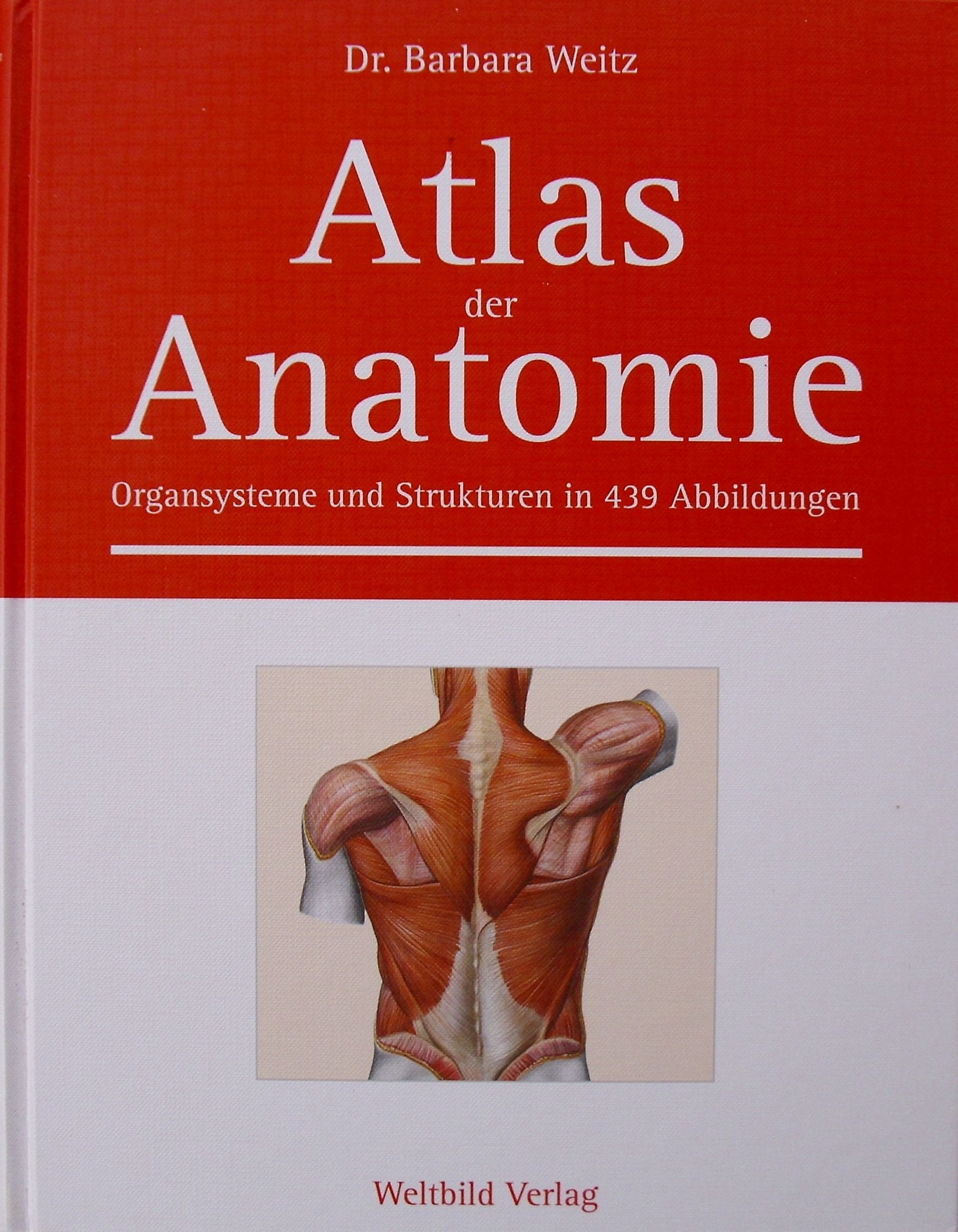 Atlas der Anatomie Medicine
