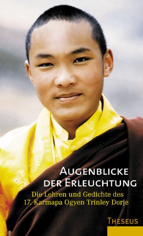 Augenblicke der Erleuchtung: Die Lehren und Gedichte des 17. Karmapa Ogyen Trinley Dorje Religion & Esotericism
