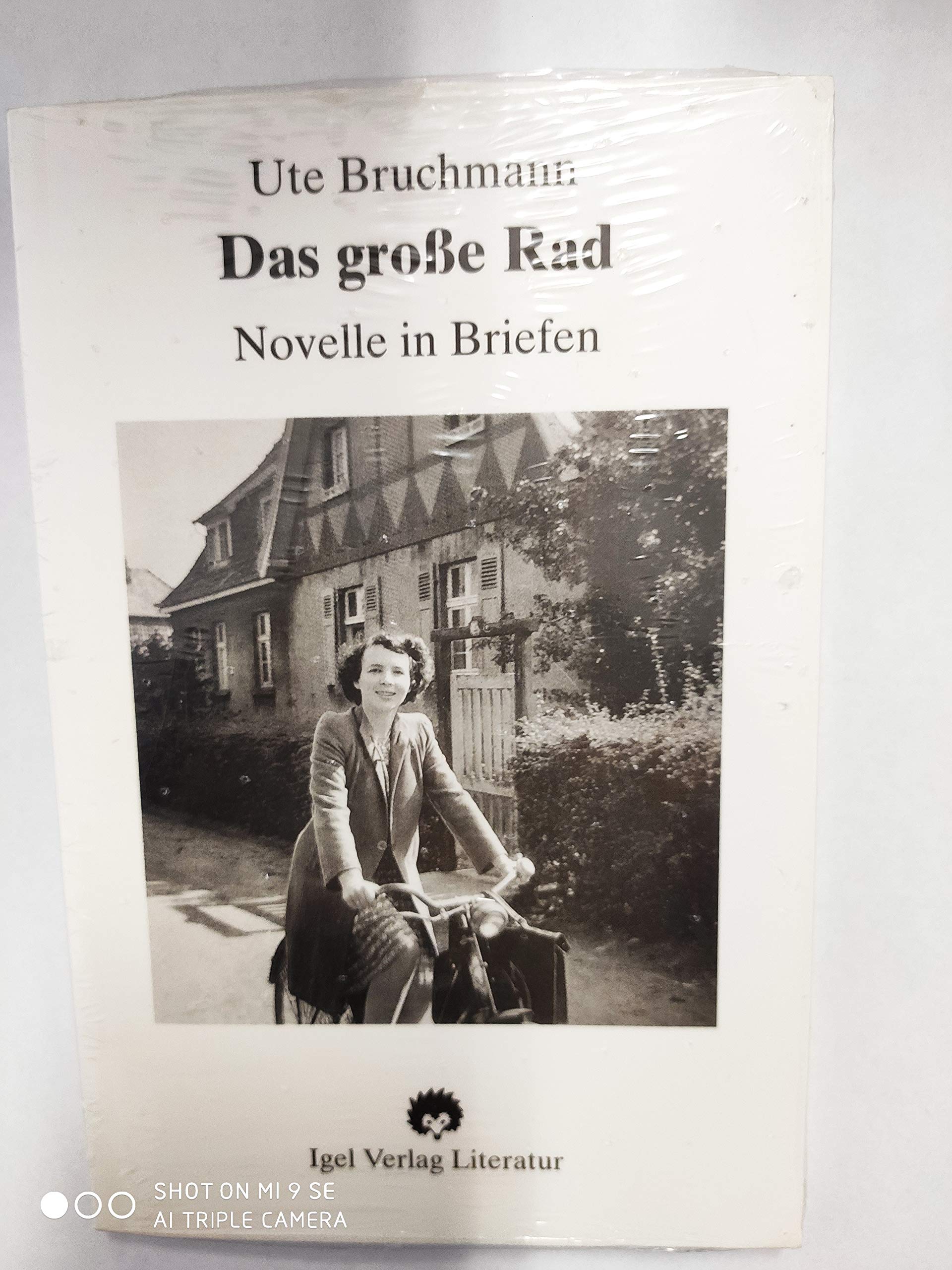 Das grosse Rad: Novelle in Briefen: Novelle in Briefen. Nachw. v. Lutz Debus Historical Fiction