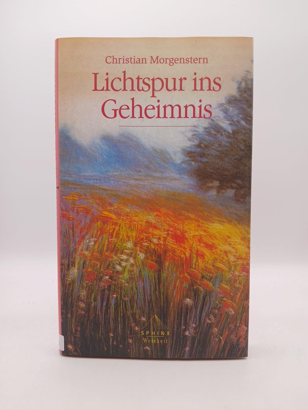 Product Image: Lichtspur ins Geheimnis