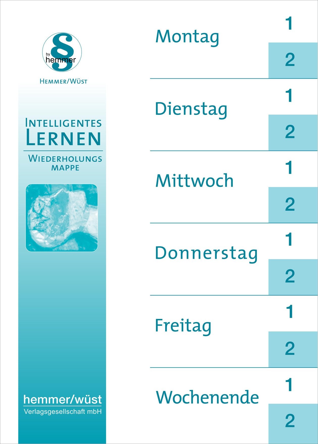 Ordner by hemmer 3er Pack: Ringbuchmappe für Einlagen DIN A4 Law