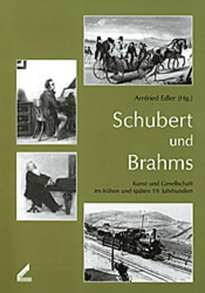 Schubert und Brahms. Kunst und Gesellschaft im frühen und späten 19. Jahrhundert. Publikationen der Hochschule für Musik und Theater Hannover, Bd. 11: ... f. Musik u. Theater Hannover, Nov. 1997 Arts & Music