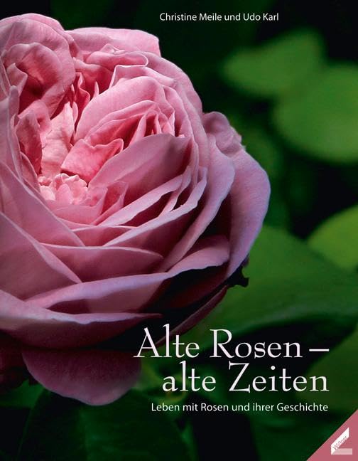 Alte Rosen - alte Zeiten book