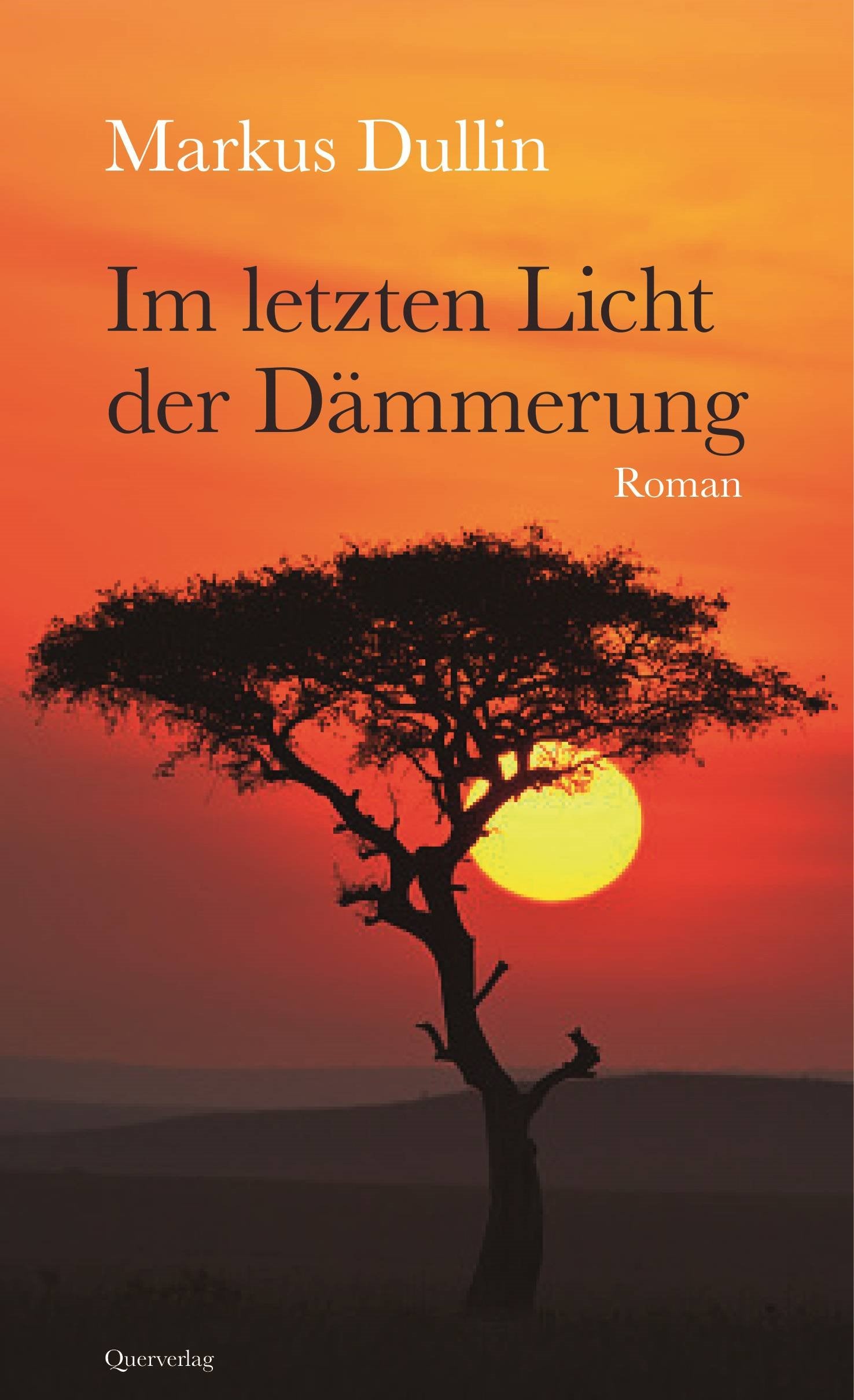 Im letzten Licht der Dämmerung: Roman Contemporary literature