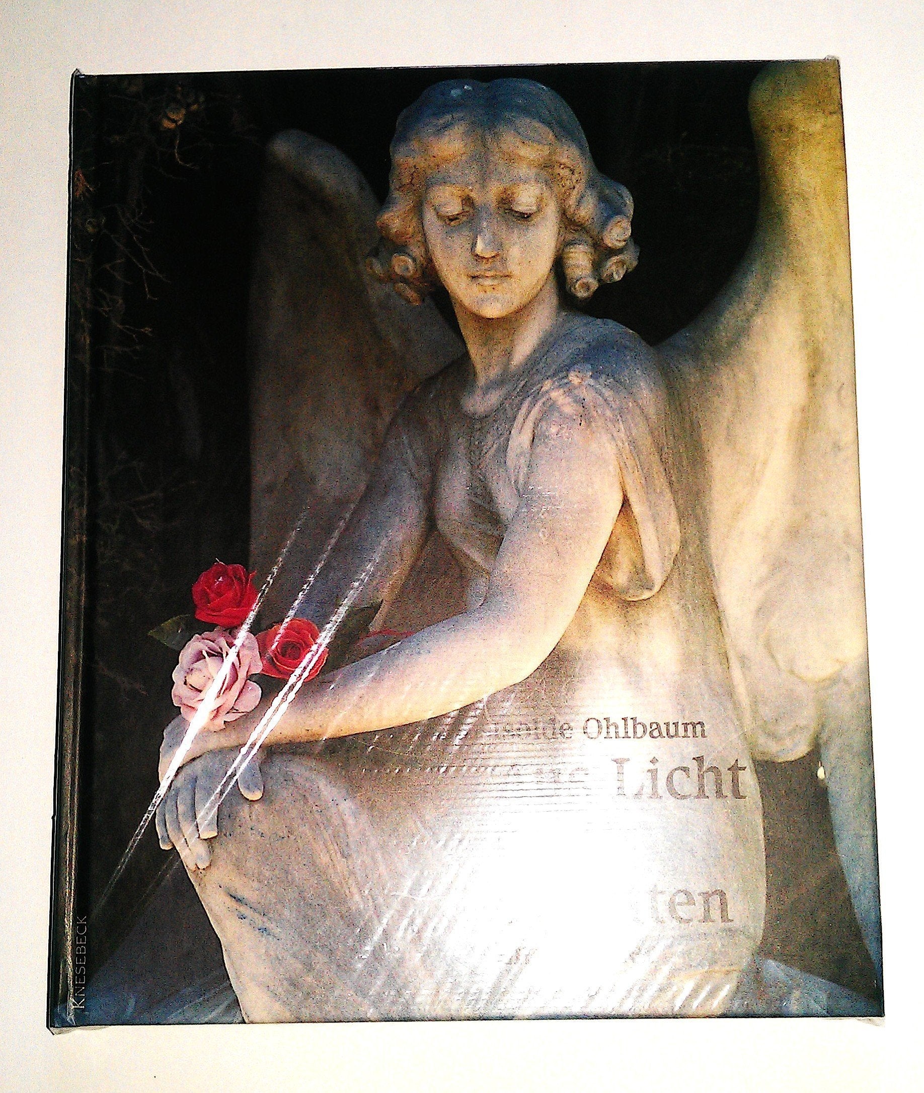 Aus Licht und Schatten: Engelbilder Photography