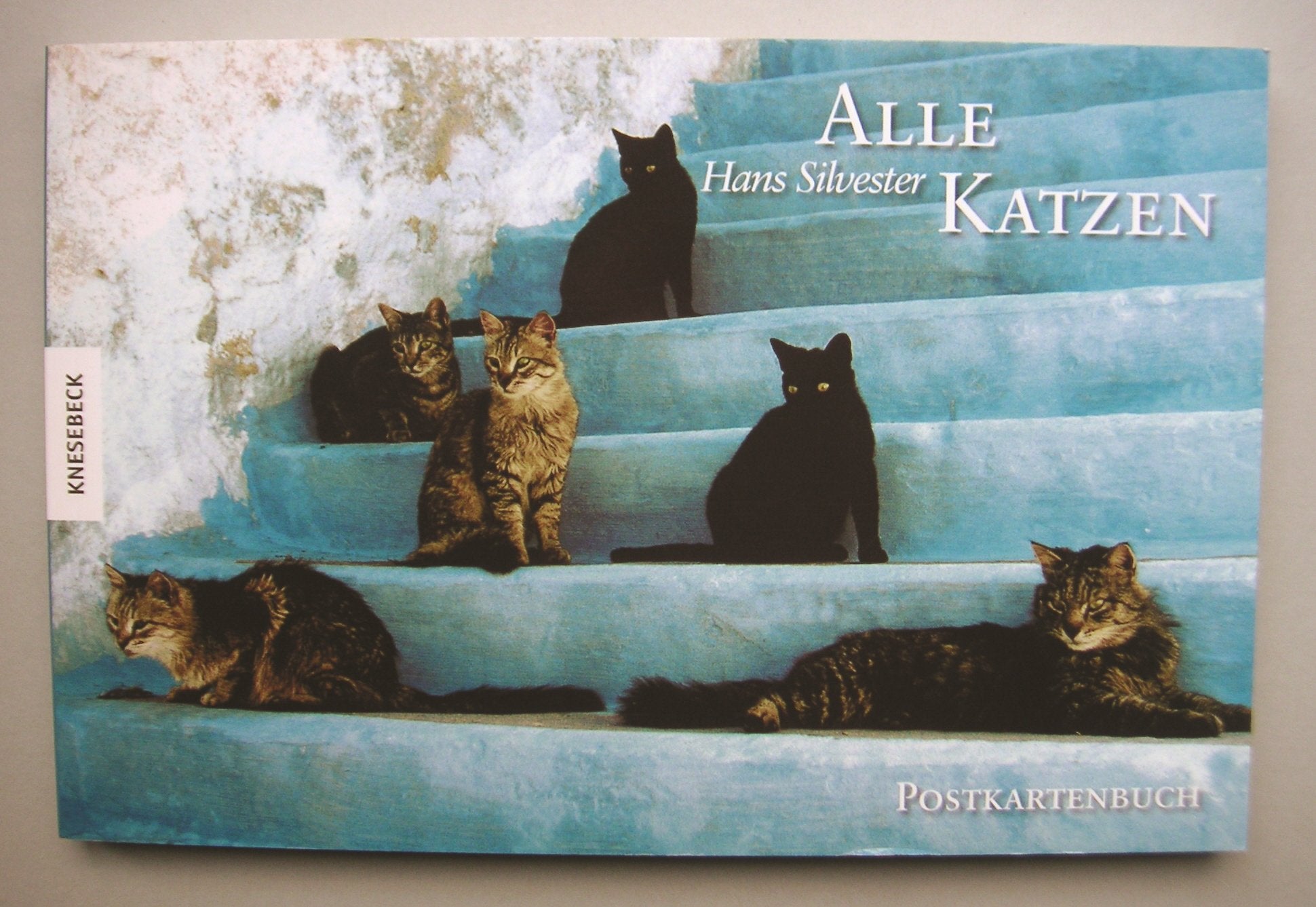 Alle Katzen. Postkartenbuch Books