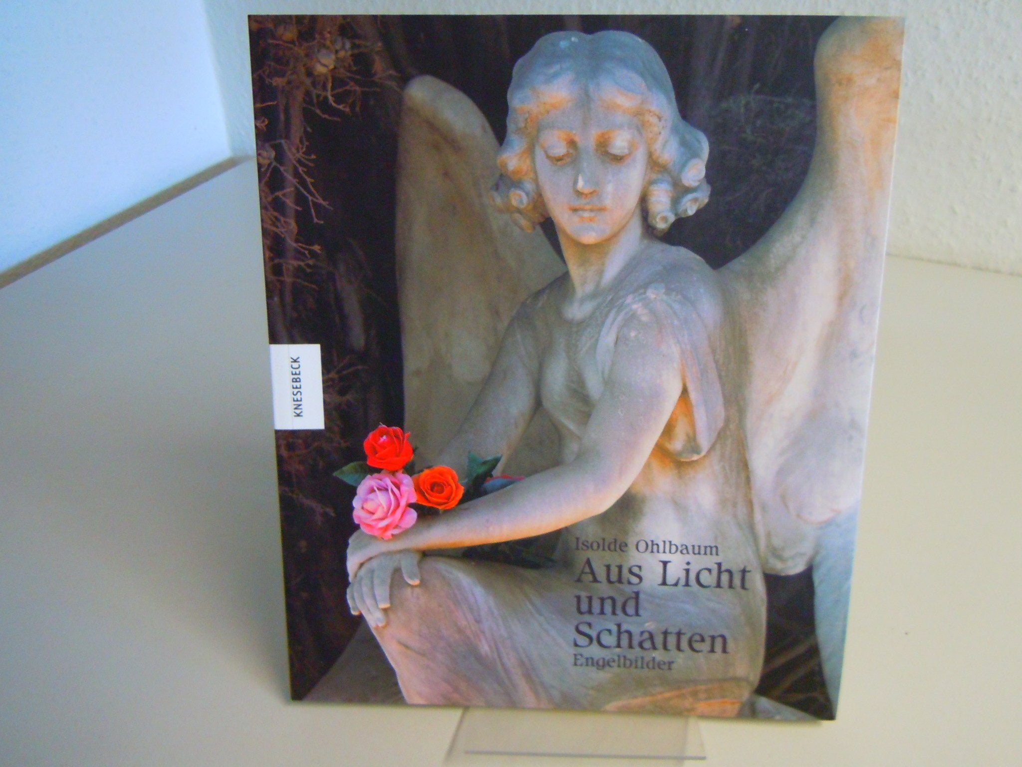 Aus Licht und Schatten. Engelbilder. Sonderausgabe. Film, Art & Culture