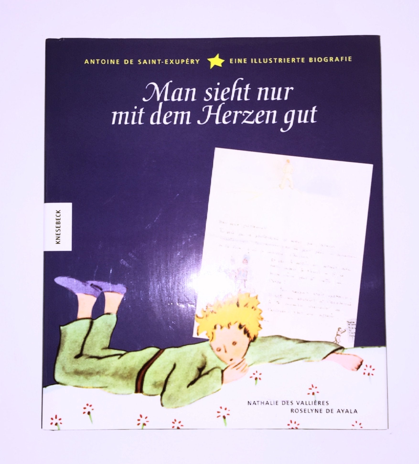 Man sieht nur mit dem Herzen gut: Antoine de Saint-Exupéry - Eine illustrierte Biografie Art & Literature Books