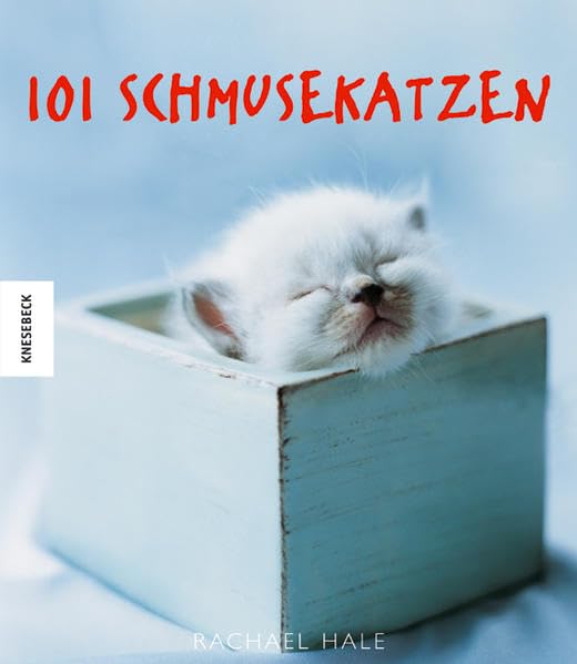 101 Schmusekatzen Photography