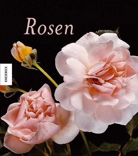 Rosen Photography