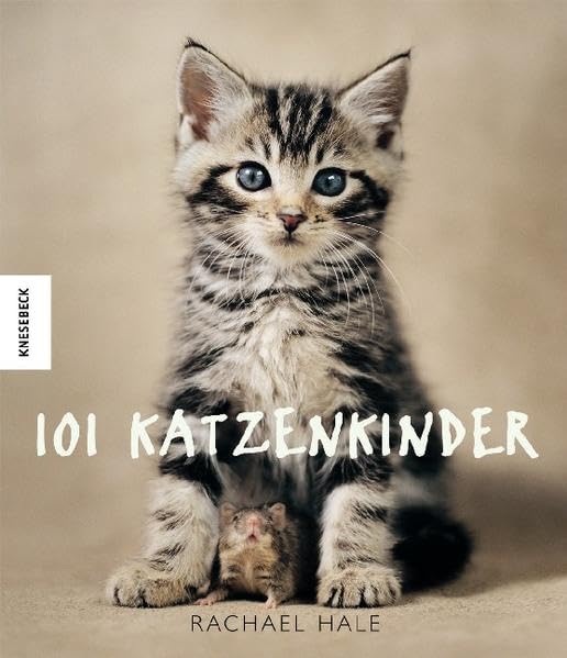 101 Katzenkinder Lifestyle