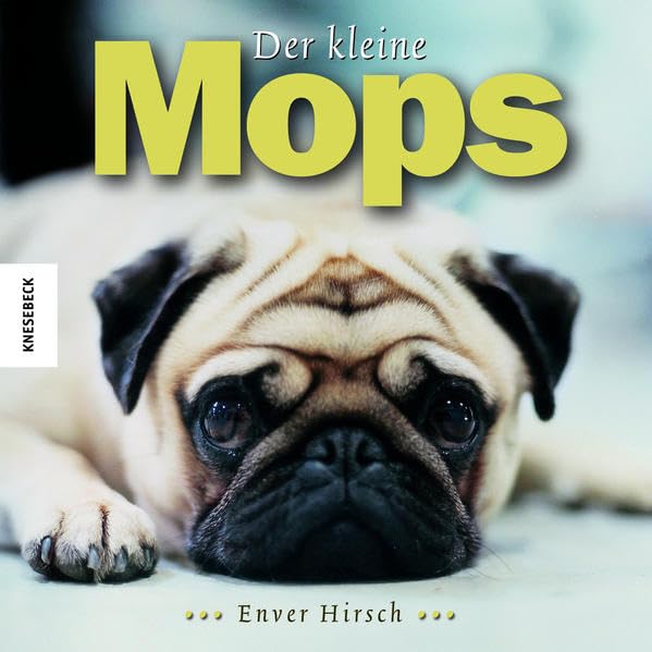 Der kleine Mops Pets