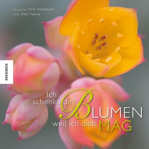 Ich schenke dir Blumen: Weil ich dich mag Lifestyle