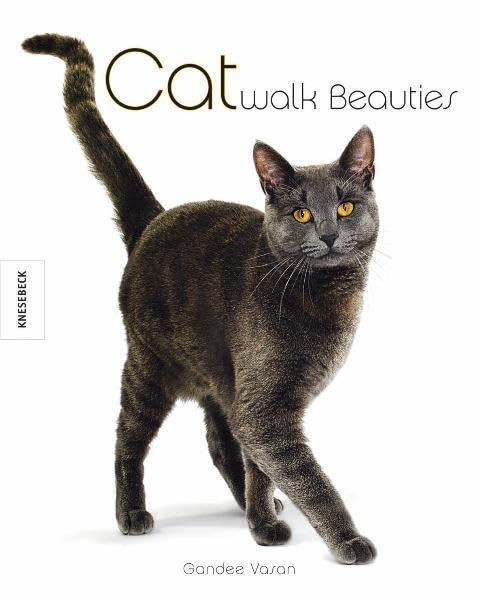 Catwalk Beauties: Katzen mit Stil und Charakter Living & Furnishing