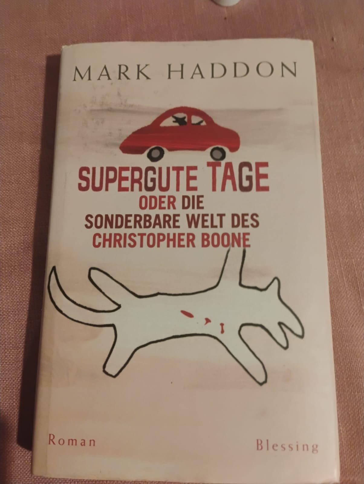 Supergute Tage oder Die sonderbare Welt des Christopher Boone Contemporary literature Books
