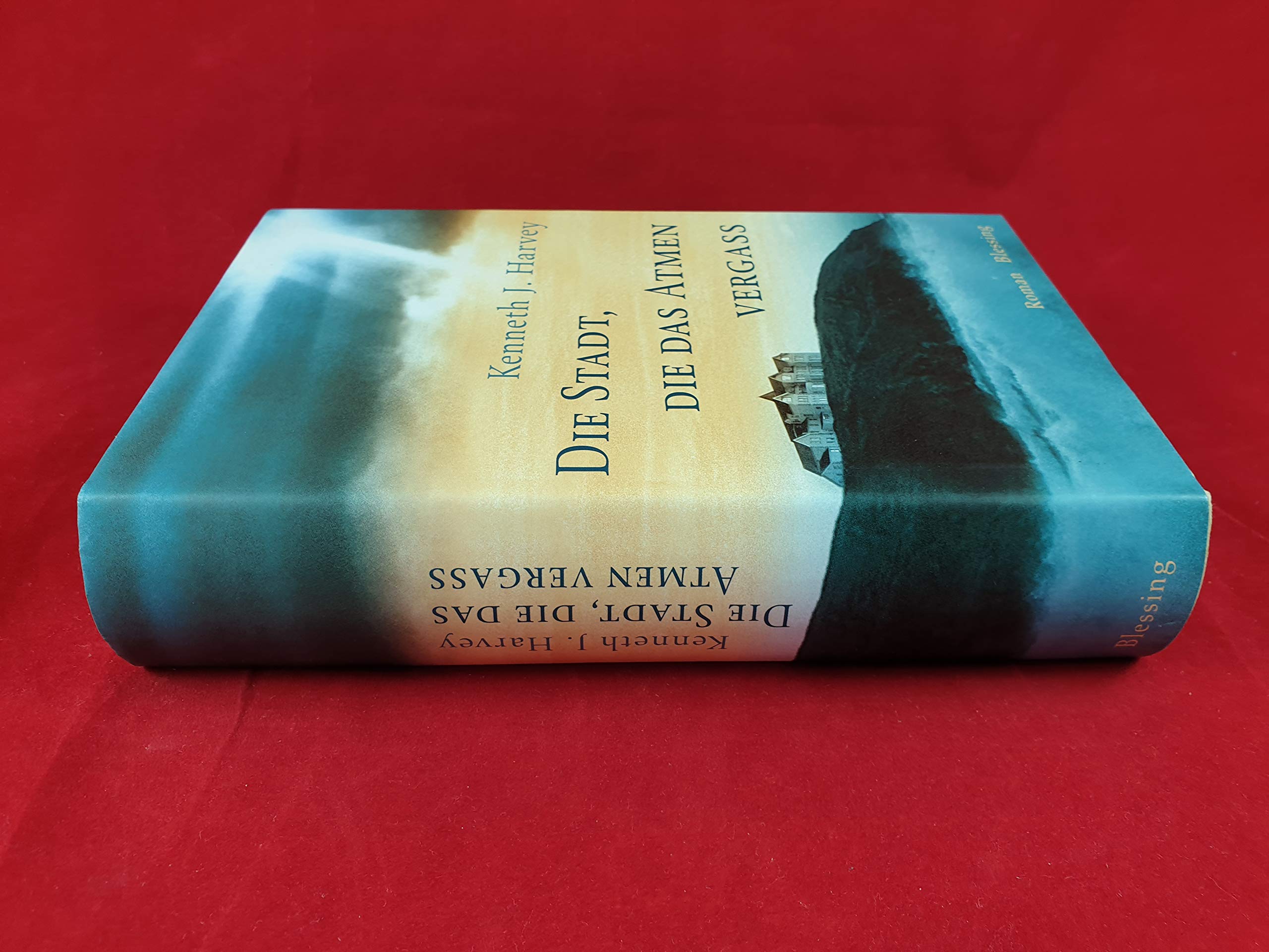 Die Stadt, die das Atmen vergaß Crime & Thrillers