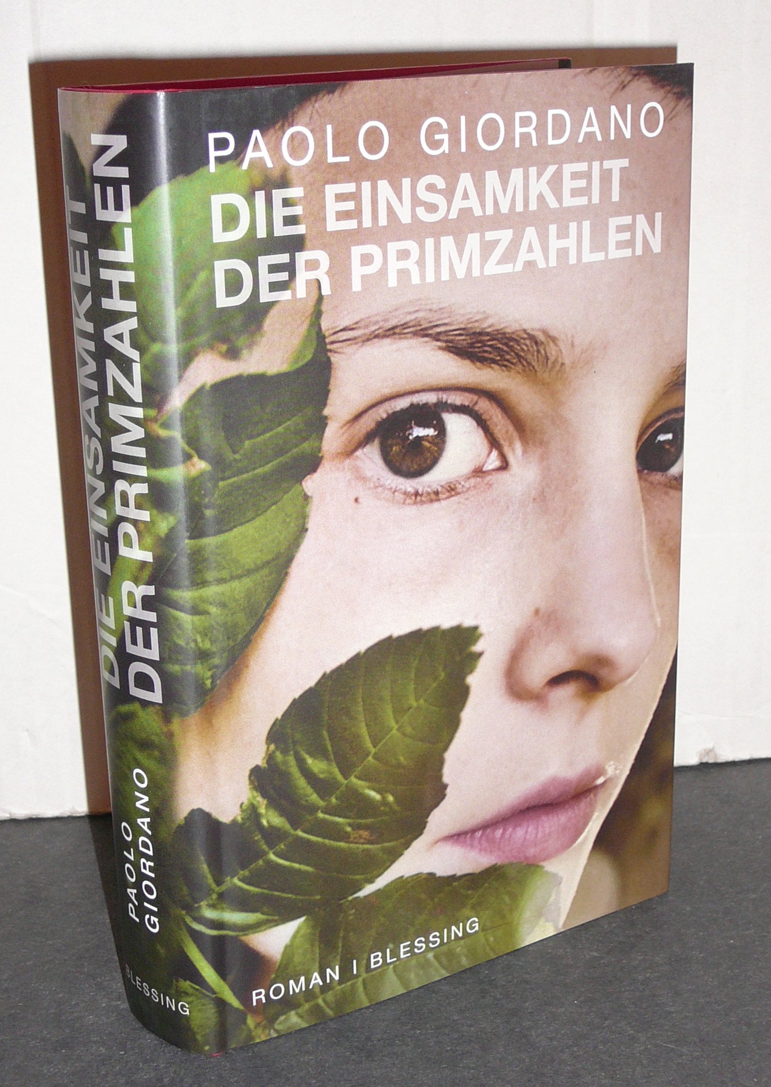 Die Einsamkeit der Primzahlen Contemporary literature