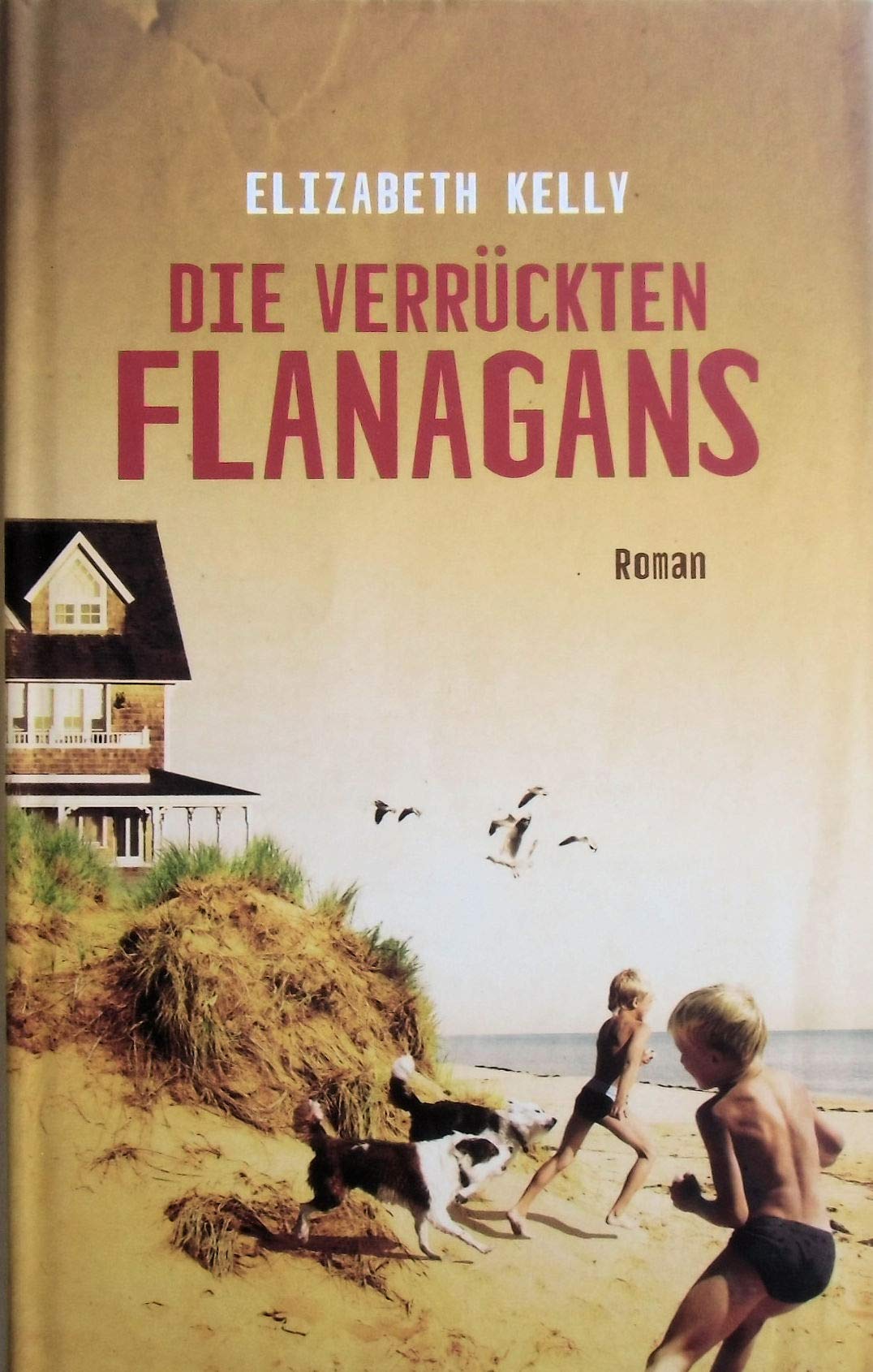 Die verrückten Flanagans Contemporary literature