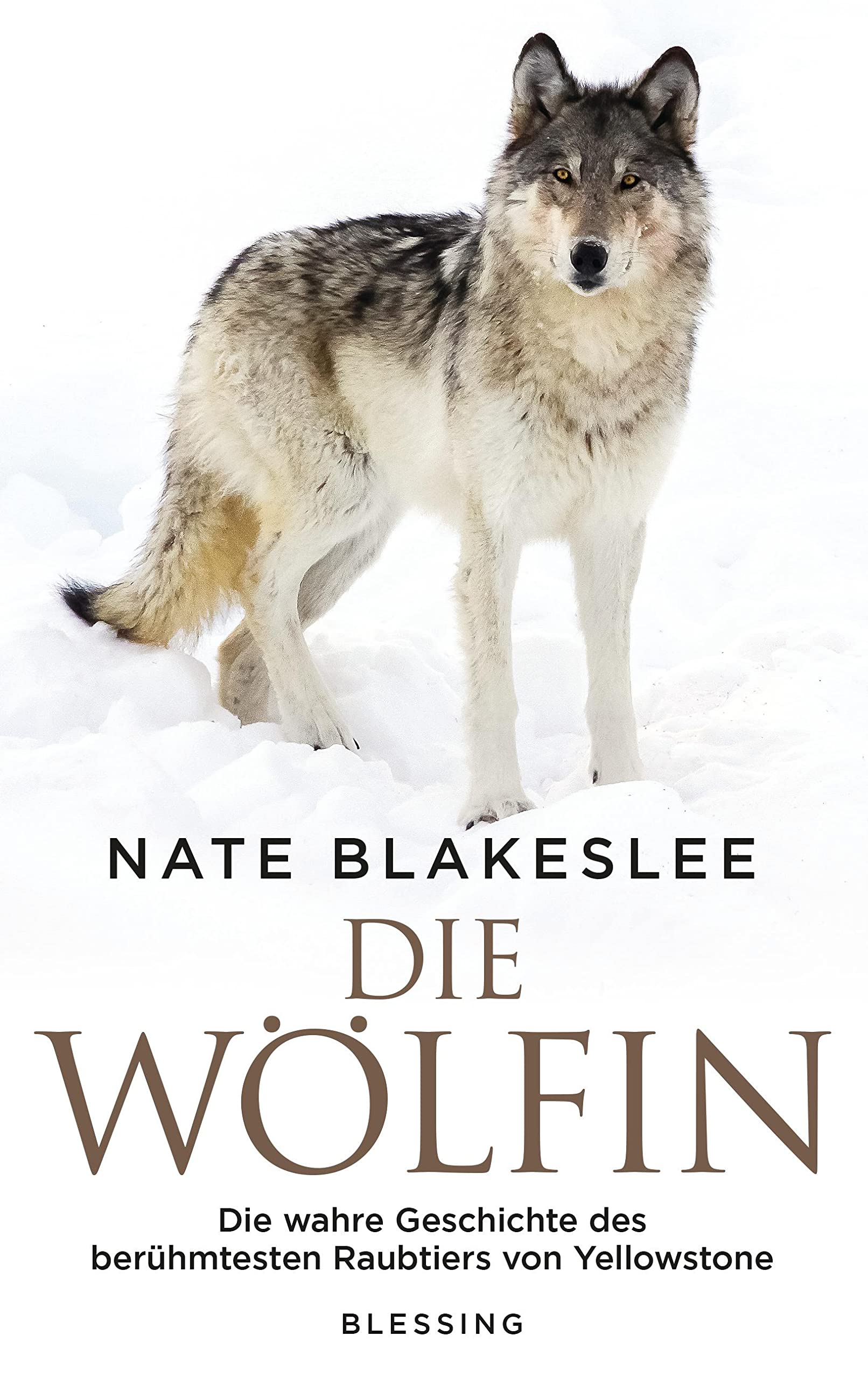 Die Wölfin: Die wahre Geschichte des berühmtesten Raubtiers von Yellowstone Mathematics