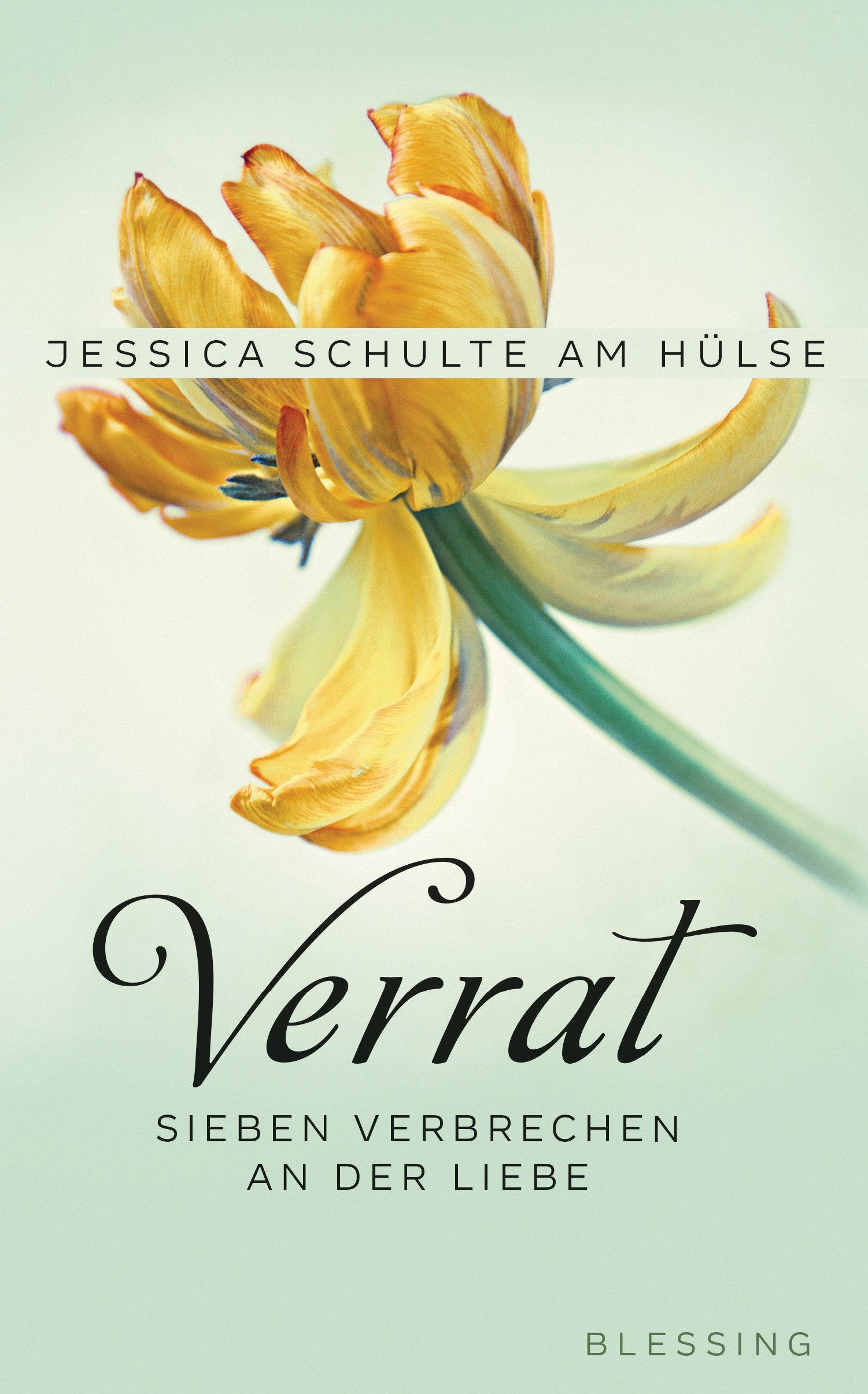 Verrat Essays & Short Stories