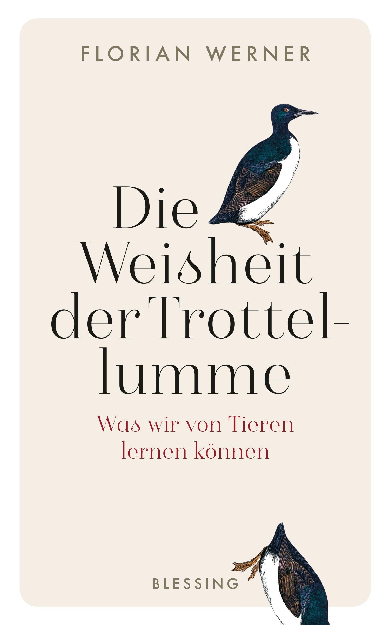 Die Weisheit der Trottellumme Philosophy